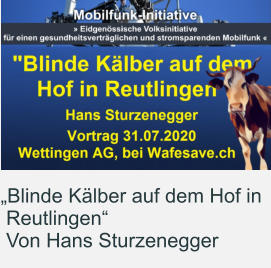 „Blinde Kälber auf dem Hof in  Reutlingen“  Von Hans Sturzenegger